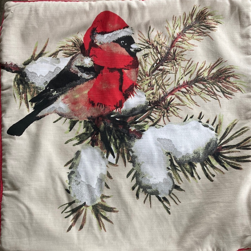 Holiday Pillow cases (2) print is on both sides. Pillow not incl.